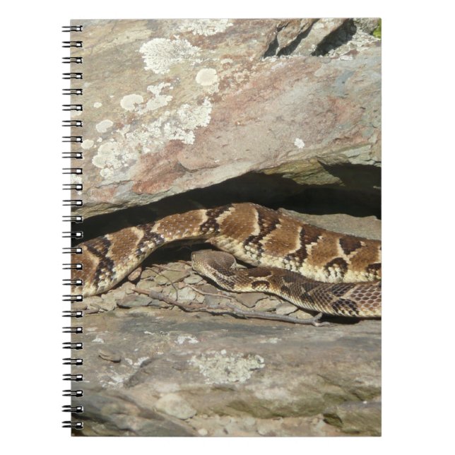 Rattlesnake at Shenandoah National Park Notebook (Front)