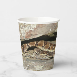 Rattlesnake at Shenandoah National Park Paper Cups