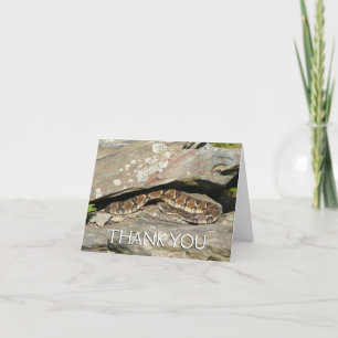 Rattlesnake at Shenandoah National Park Thank You Card