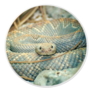 Rattlesnake Ceramic Knob