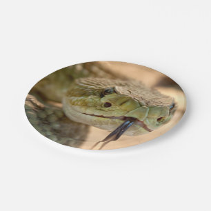 Rattlesnake Closeup Photo Paper Plate