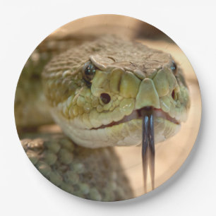 Rattlesnake Closeup Photo Paper Plate