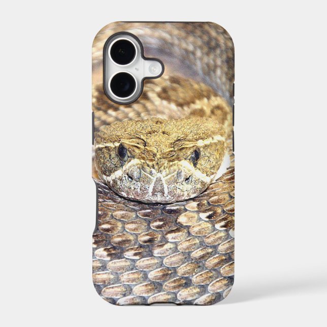 Rattlesnake face (Back)