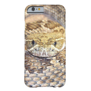 Rattlesnake face barely there iPhone 6 case
