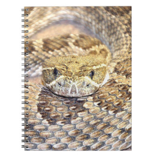 Rattlesnake face notebook