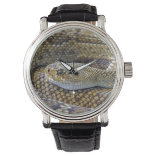 Rattlesnake face  watch