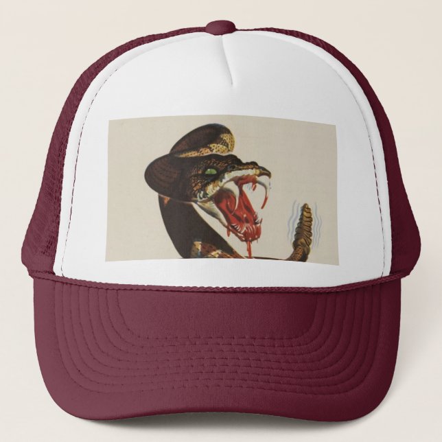 Rattlesnake Hat (Front)