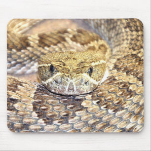 Rattlesnake Mouse Pad