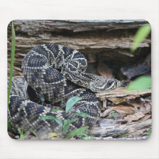 Rattlesnake Mouse Pad (Front)