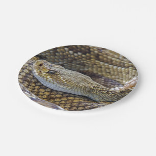 Rattlesnake photo paper plate