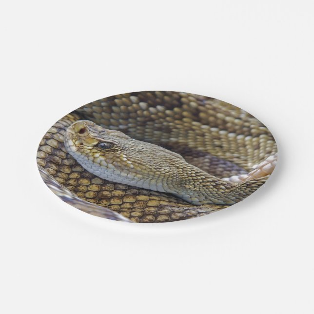 Rattlesnake photo paper plate (Angled)