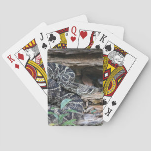 Rattlesnake Playing Cards