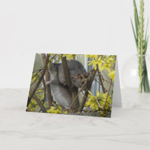 Ratty cuddles Greeting Card