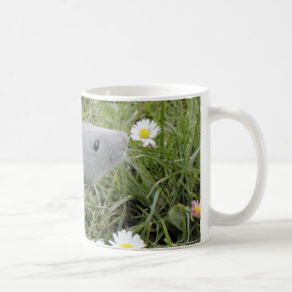 Ratty Smelling the Daisies Coffee Mug