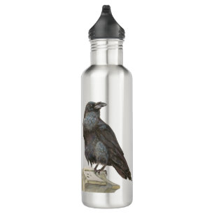 Raven 710 Ml Water Bottle