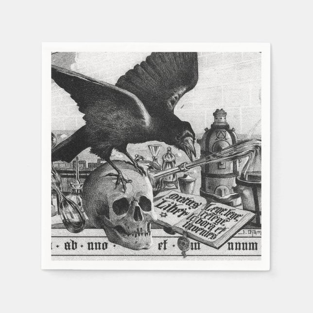 Raven and Human Skull Napkin (Front)
