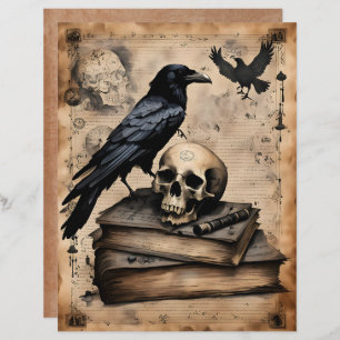 Raven and Skull Magic Scrapbook Paper
