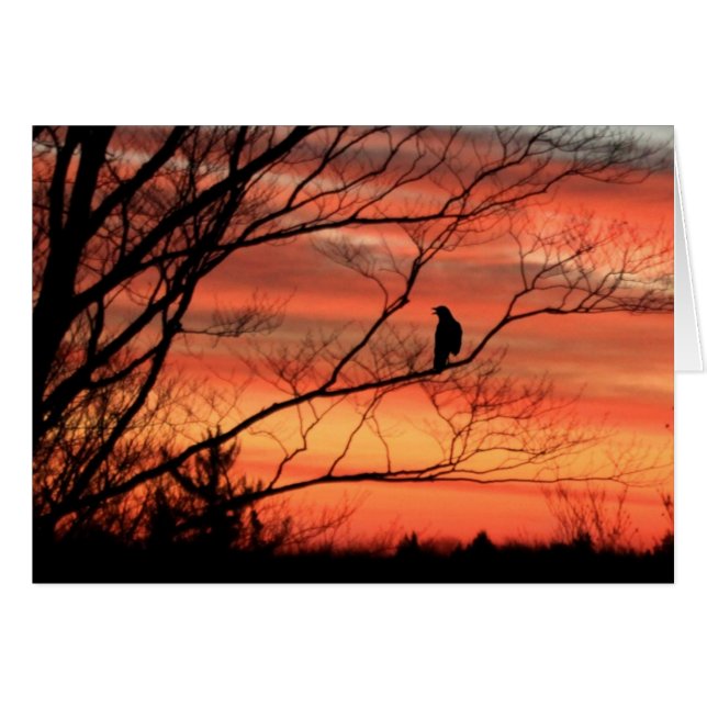 Raven appelle solitaire (Devant horizontal)