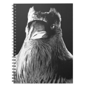 Raven Art Carnet Crow Art Journal Livre
