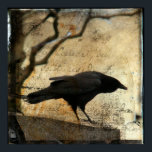 Raven Art Poster<br><div class="desc">Raven photograph collaged with a background. Copyright©Gothicolors All Rights Reserved.</div>