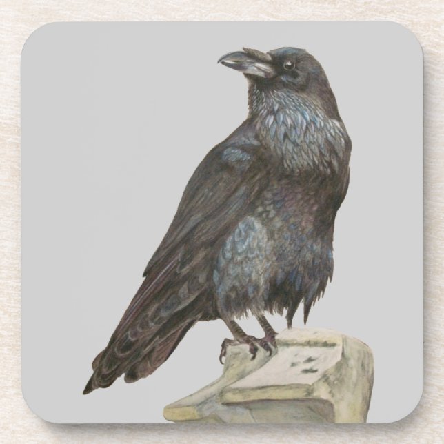 Raven Coaster (Front)