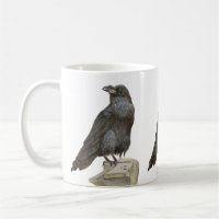 Raven