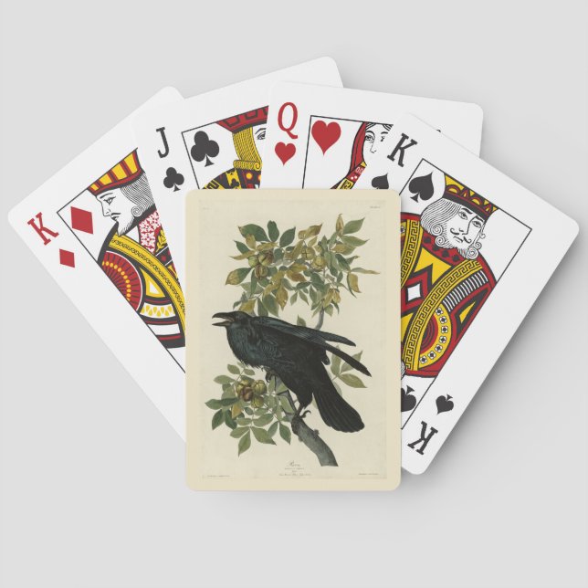 Raven (Common Raven) from Audubon Birds of America Playing Cards (Back)