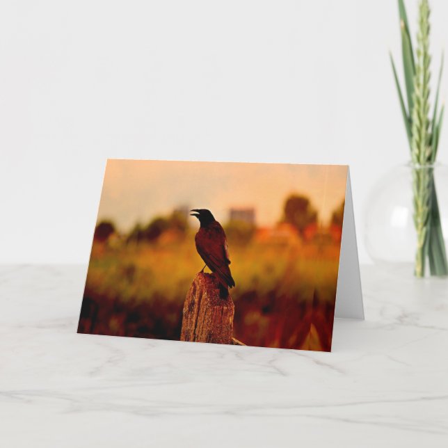 Raven crow at sunset holiday card (Front)