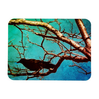 Raven Crow Black Bird Silver Tree Photo Magnet
