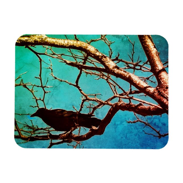 Raven Crow Black Bird Silver Tree Photo Magnet (Horizontal)