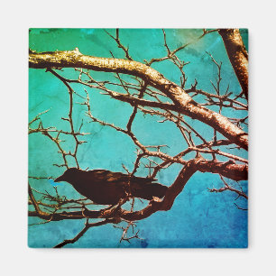 Raven Crow Black Bird Silver Tree Photo Magnet