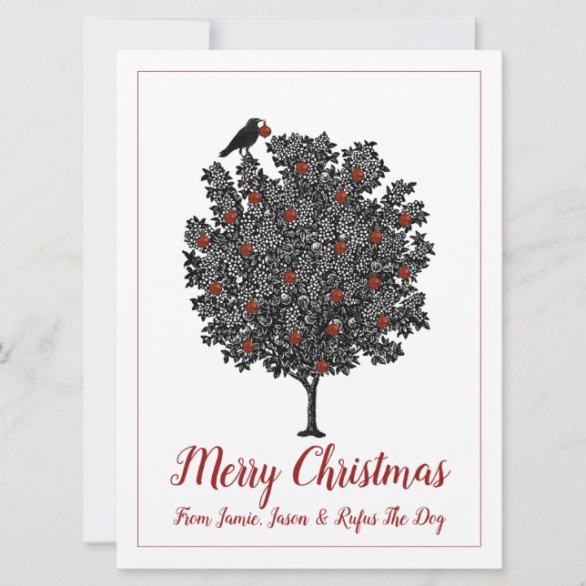 Raven Decorates Christmas Tree Holiday Card (Front)