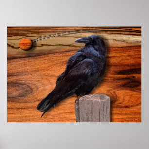 RAVEN ECLIPSE POSTER