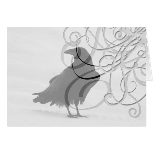 Raven fier (Devant horizontal)