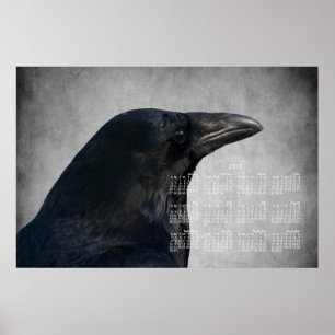 Raven Glamour Shot; 2013 Calendar Poster