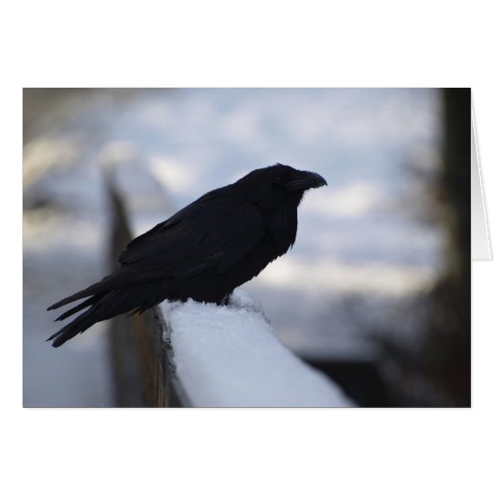 Raven Greeting Cards