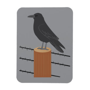 Raven Magnet