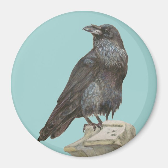 Raven Magnet (Front)