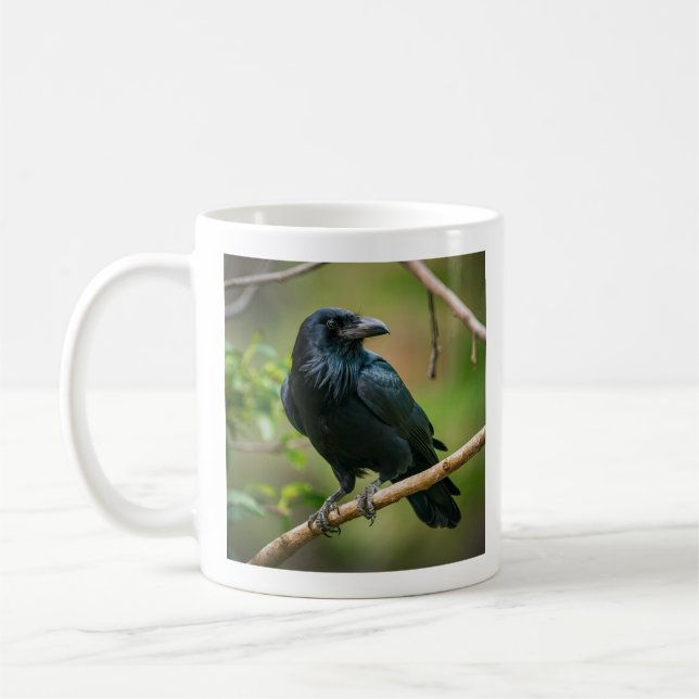 Raven on a Tree Branch Coffee Mug (Left)