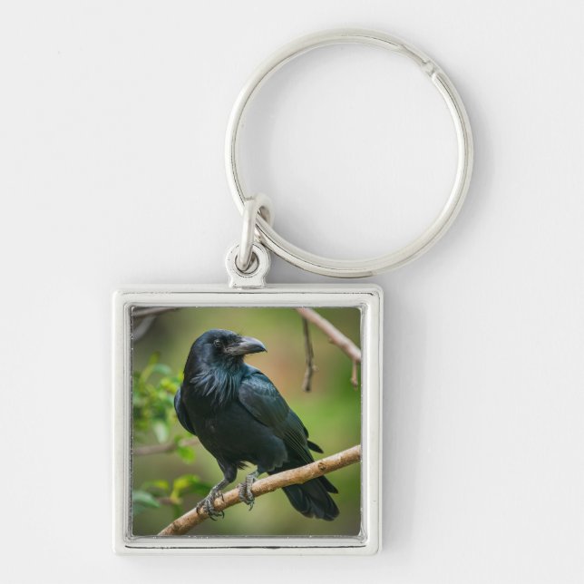 Raven on a Tree Branch Keychain (Front)