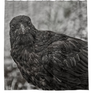 Raven P9239