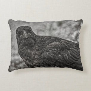 Raven P9239 Accent Pillow