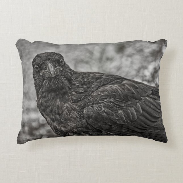 Raven P9239 Accent Pillow (Front)