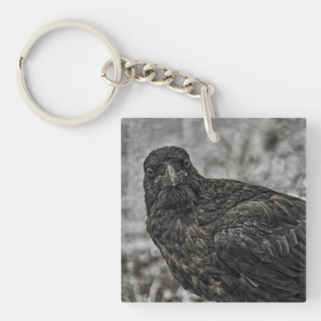 Raven P9239 Keychain (Front)