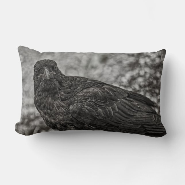 Raven P9239 Lumbar Pillow (Front)