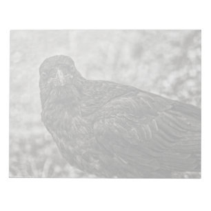 Raven P9239 Notepad