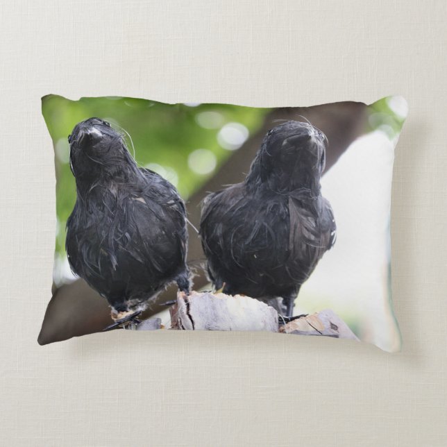 Raven pillow (Back)