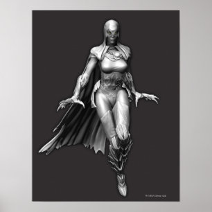 Raven Poster