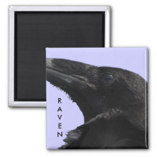 Raven Profile Magnet