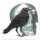 Raven Skull Skeleton Key
